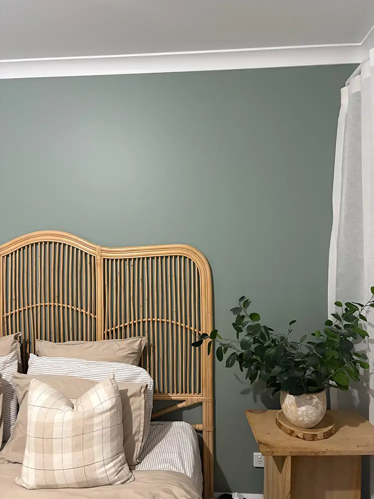 Feature Wall Paint